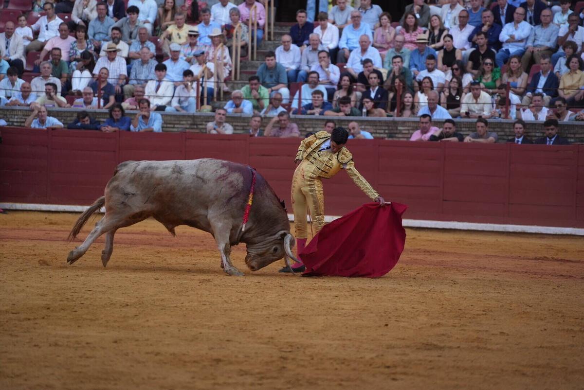 Córdoba Corrida tercera de abono en la plaza de toros de los califas, toros de Núñez de tarifa, para los diestros Borja Jiménez, Víctor Hernández y Marco Pérez