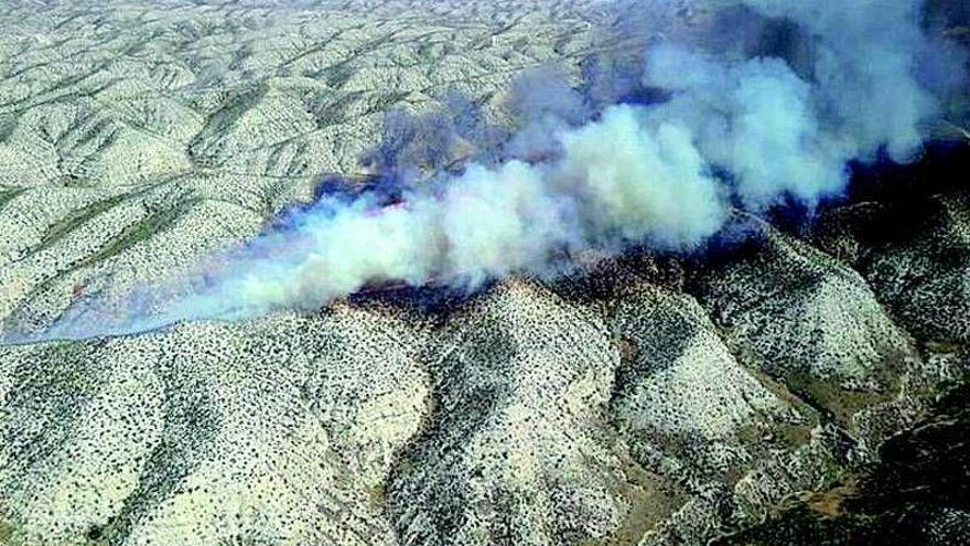 Arden 15 hectáreas en Cuarte de Huerva