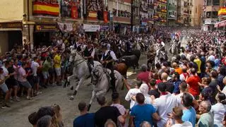 Primera tesis doctoral sobre los 'bous al carrer' en Castellón
