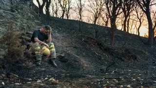 La desolación por los fuegos en la Sierra de la Culebra, en una exposición en Zamora