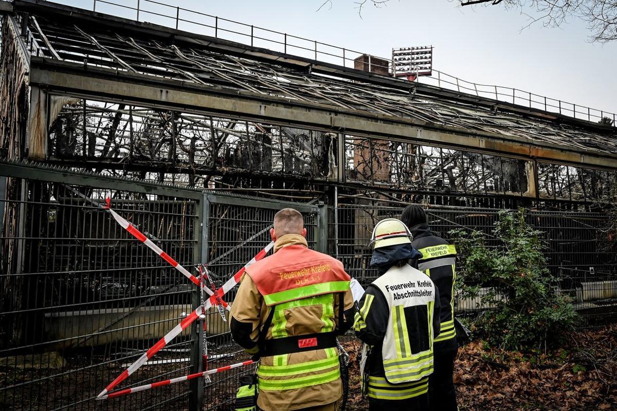 Krefeld (Germany), 01/01/2020.- Firemen stand in front of the completely burned out ape house of the zoo in Krefeld, Germany, 01 January 2020. All animals, in total more than 30, died during the fire at the Krefeld Zoo in the New Year’s night. The dead animals include chimpanzees, orangutans and two older gorillas. The criminal police in Krefeld currently assume that so-called sky lanterns may have set the monkey house on fire on New Year’s Eve. According to reports, eye-witnesses had seen sky lanterns land on the roof of the building. (Incendio, Alemania) EFE/EPA/SASCHA STEINBACH