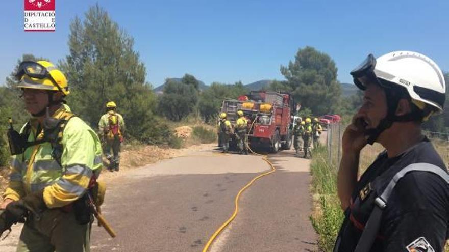 Controlan un incendio de vegetación