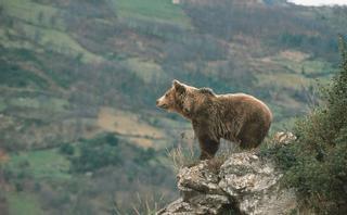 La Asturias más natural y salvaje