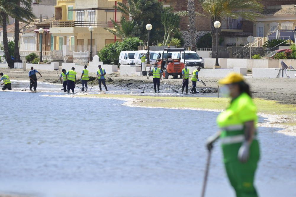 Limpieza del Mar Menor en Los Alcázares