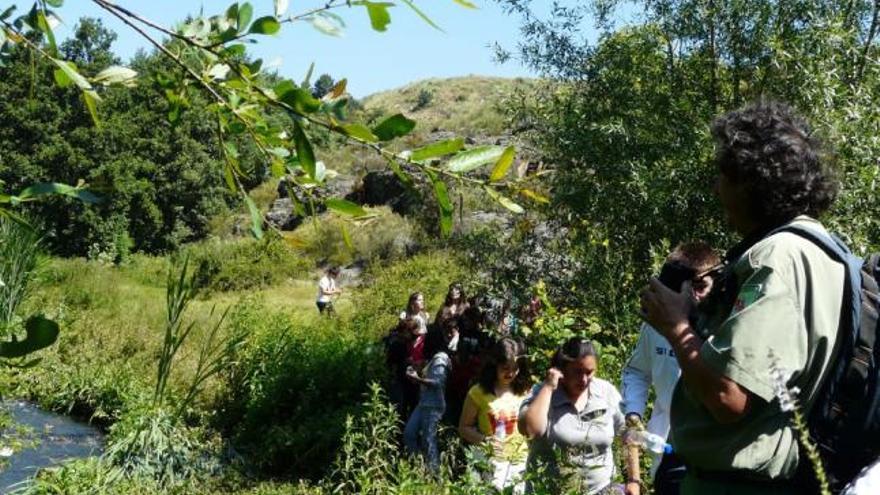 Un agente medioambiental explica las plantas a los alumnos.