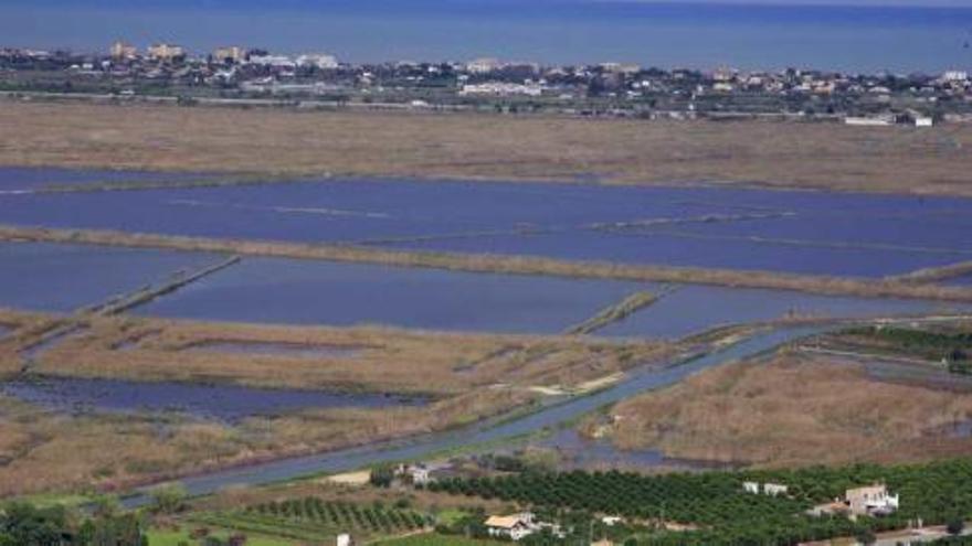 Imagen del parque natural del Marjal de Pego-Oliva.