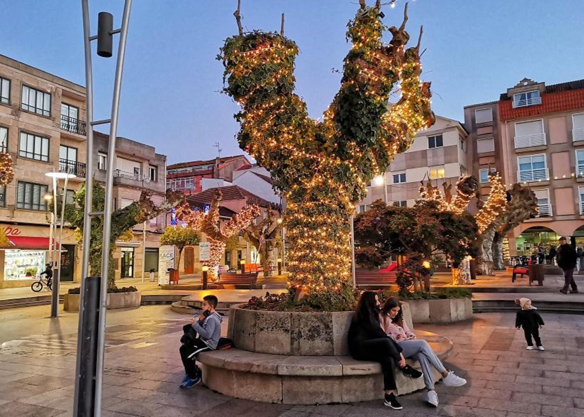 Árboles decorados en la Praza do Concello. | // SANTOS ÁLVAREZ