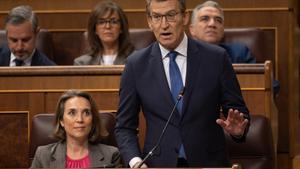 El líder del PP, Alberto Núñez Feijóo, interviene durante una sesión de control al Gobierno, en el Congreso de los Diputados, a 13 de marzo de 2024, en Madrid (España).