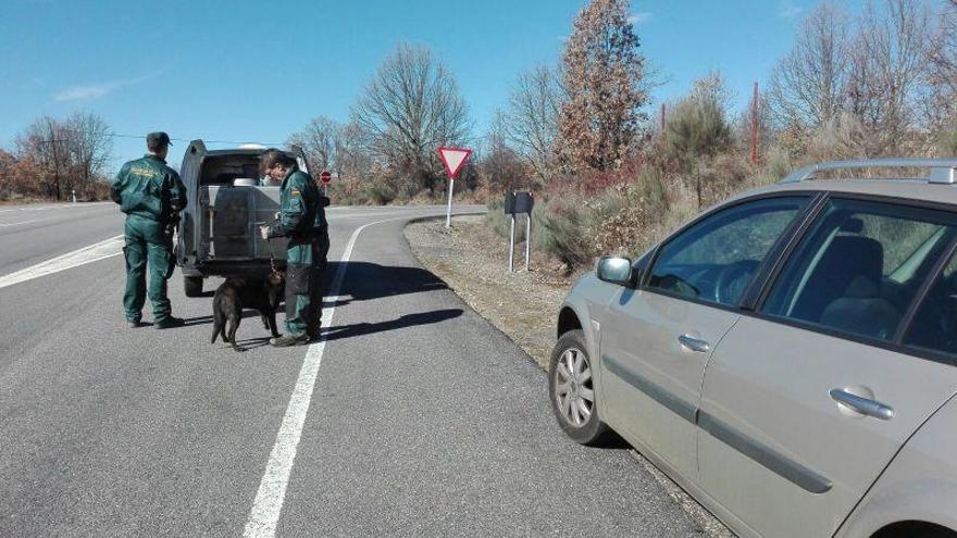 La Guardia Civil con los perros de rastreo