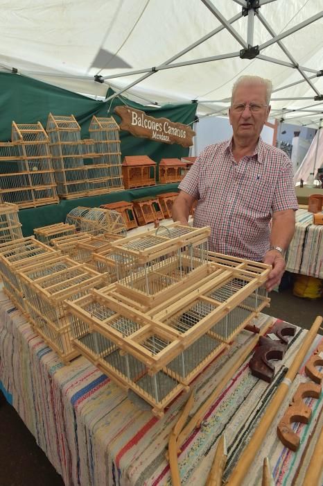 Feria de artesanía de Fontanales