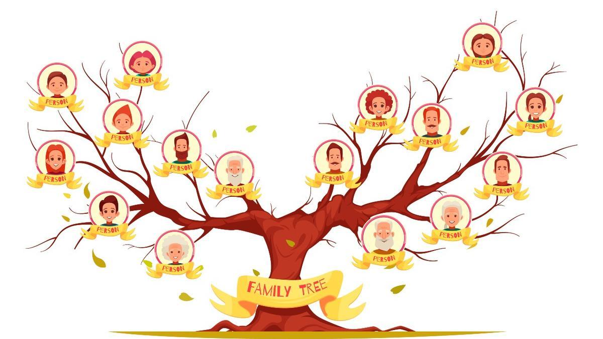 Contrato posponer agudo Cómo hacer tu árbol genealógico: remóntate a tus orígenes familiares