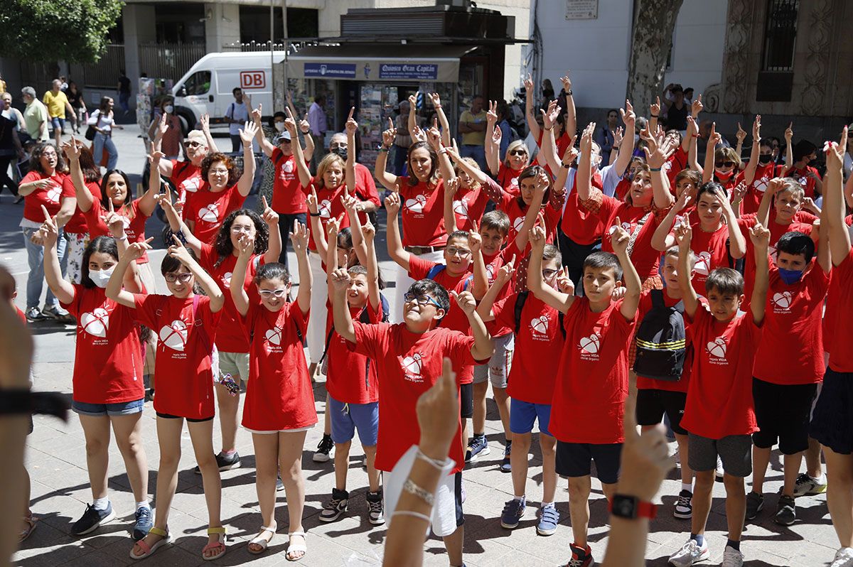 Flashmob por la donación en Córdoba en la Semana del Donante.