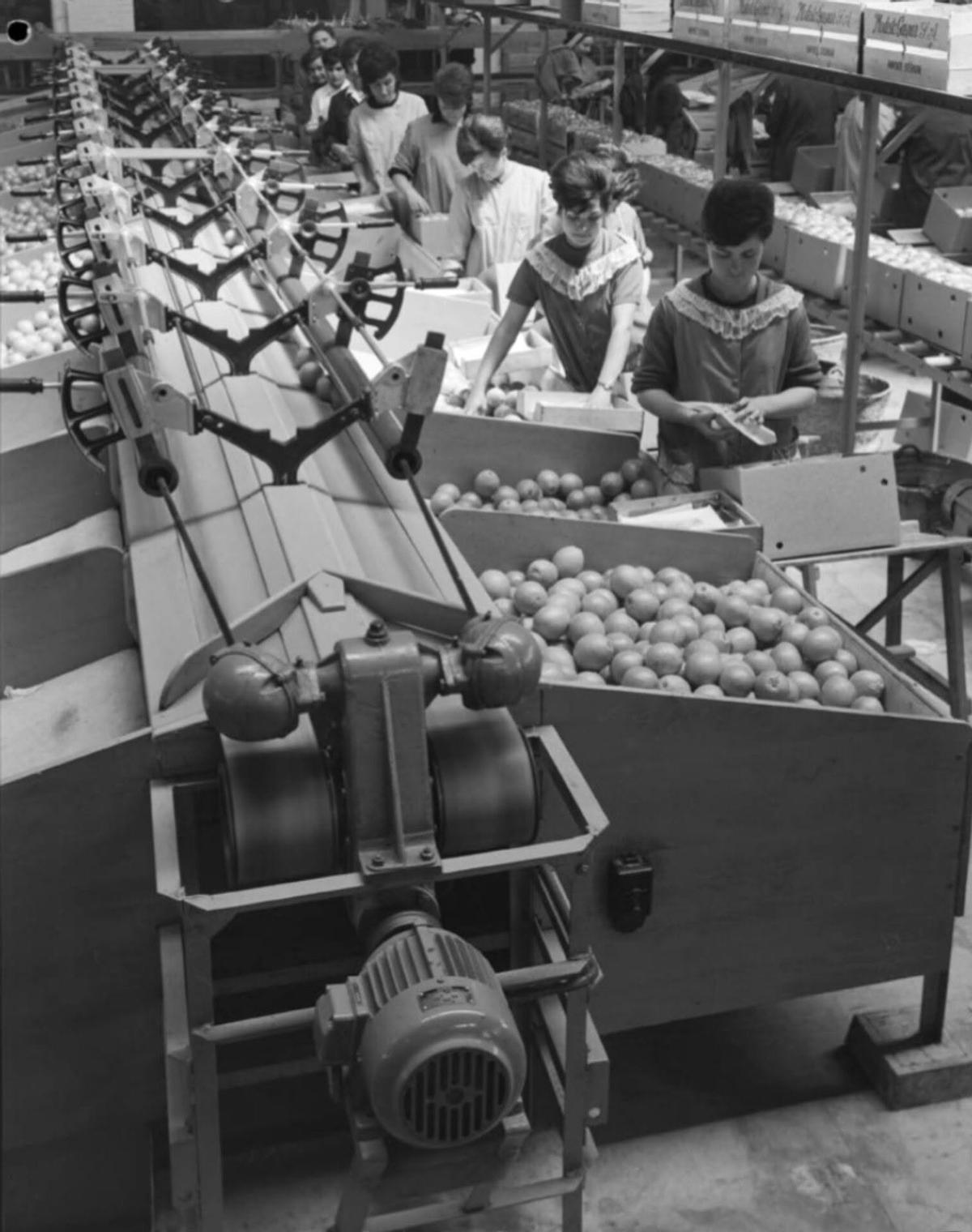 Empleadas, en pleno trabajo.
