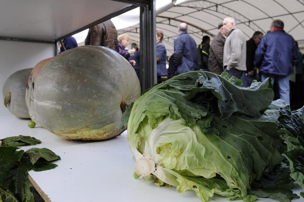 300 kilos de delicias en Cruces