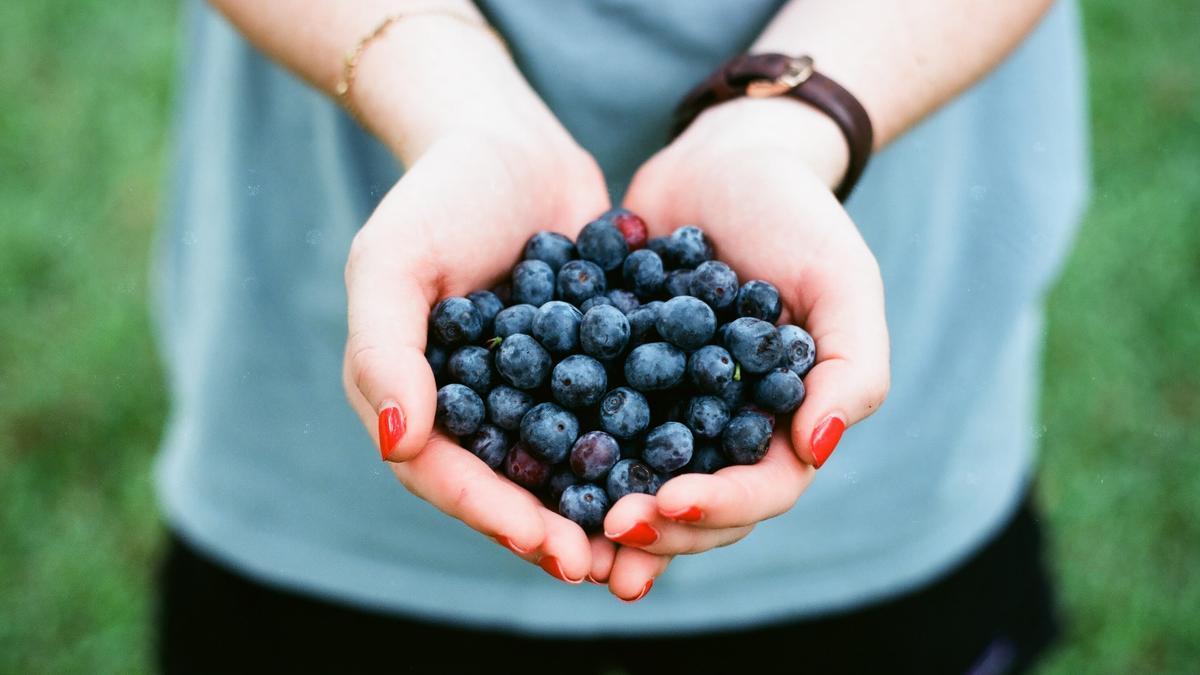 Recetas con arándanos la fruta estrella del verano