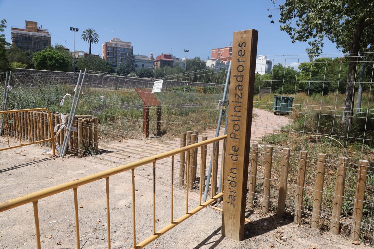 El Jardín de Polinizadores situado en el tramo VI del Jardín del Turia