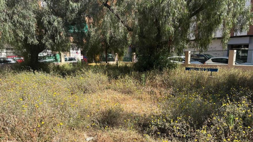Alertan de posibles problemas de insalubridad en un centro educativo abandonado en Port de Sagunt