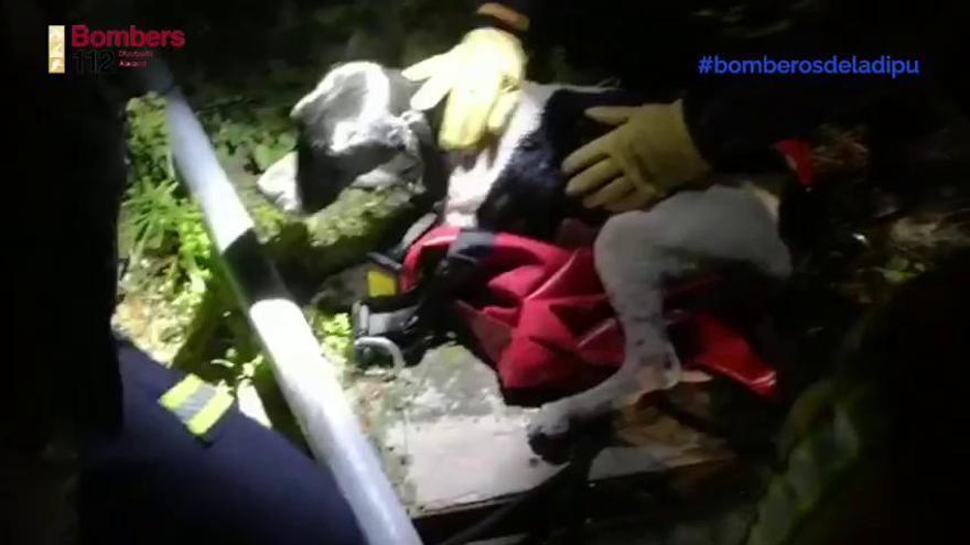 Los bomberos rescatan a un cachorro atrapado en un pozo