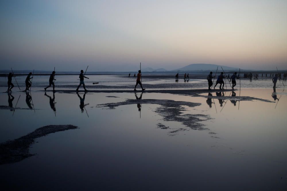 Volunteers wade across the lagoon at dawn to ...