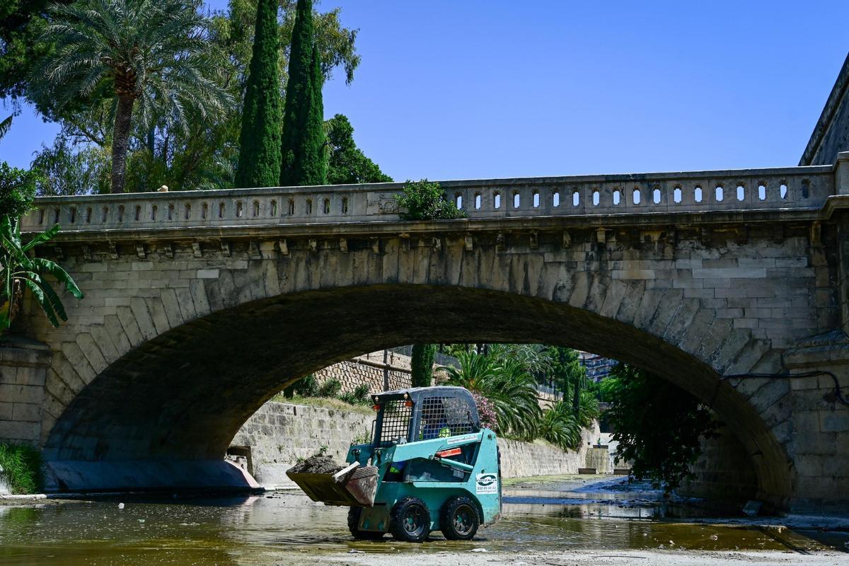 Emaya inicia la limpieza anual y puesta a punto del cauce del torrente de sa Riera