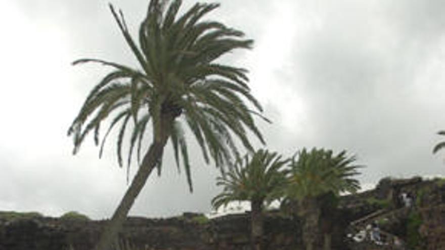 Los Jameos del Agua, uno de los legados de César Manrique.