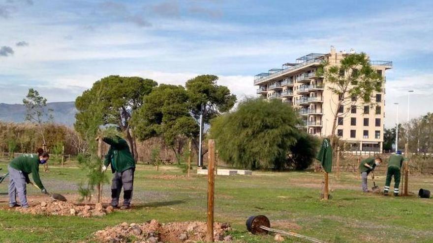 On es troba el nou pulmó verd, únic i a prop de la mar?