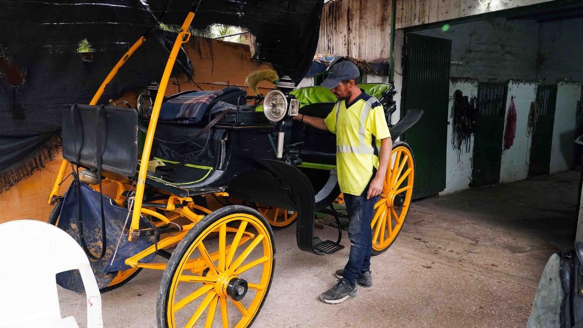 En las cuadras de Teatinos un cochero encierra a su caballo.