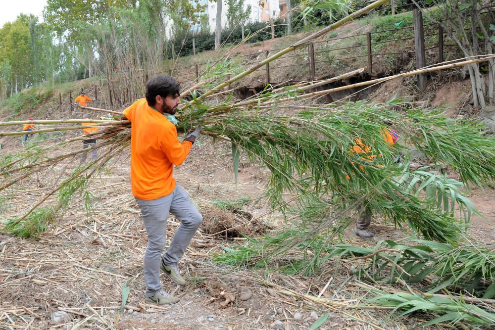 Neteja de la vora del riu Cardener a càrrec dels membres i voluntaris del projecte Invulnerables