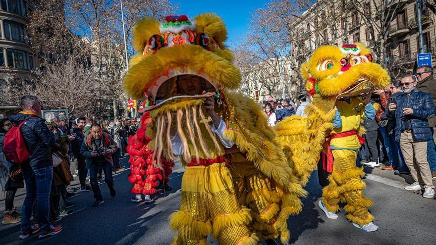 Quin animal ets de l’horòscop xinès segons l’any del teu naixement i quin significat té