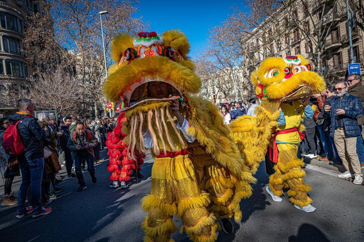 Horóscopo Chino 2022: ¿qué animal soy según mi año de nacimiento y qué  significa?