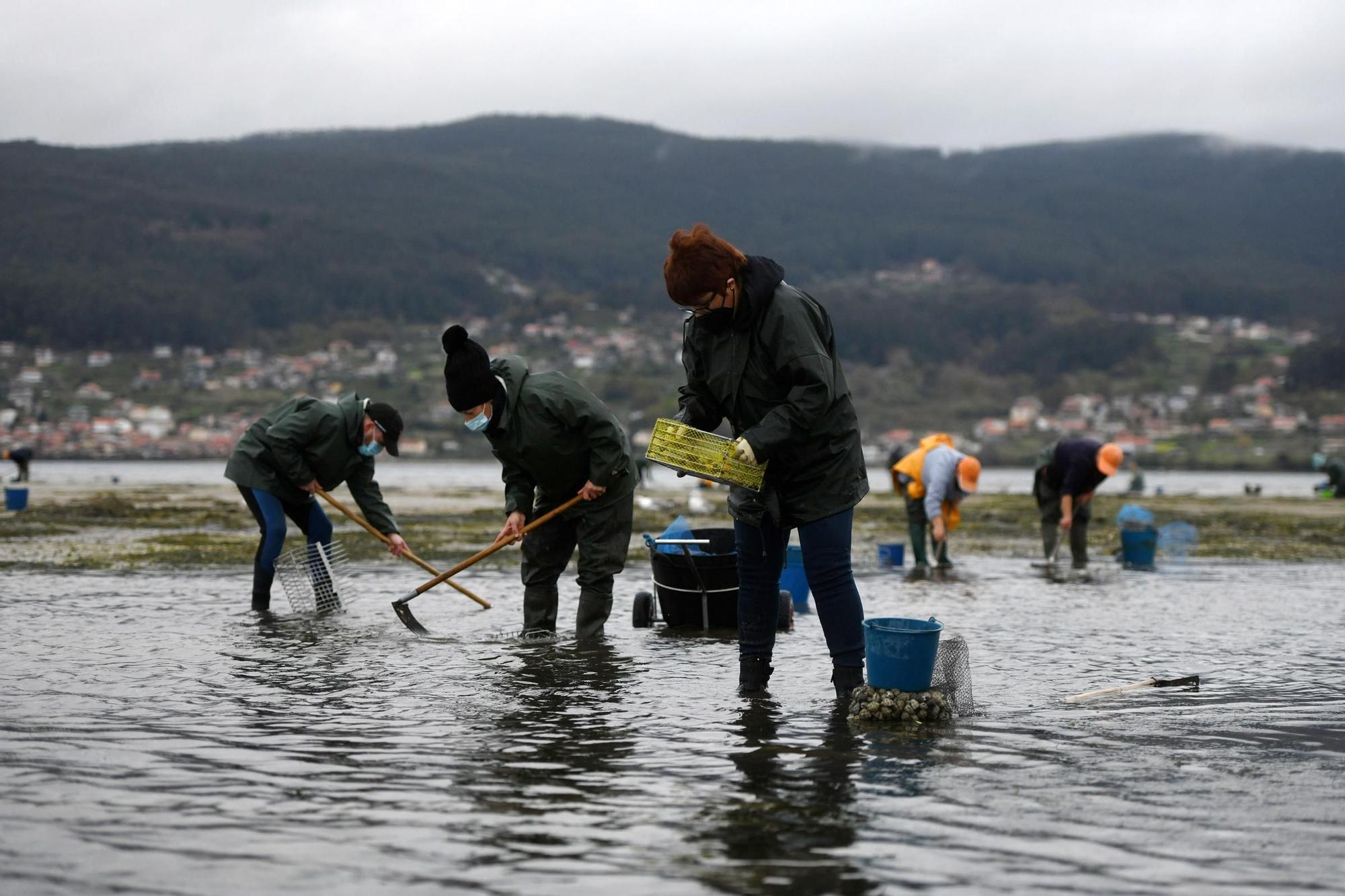 Las mariscadoras vuelven a faenar