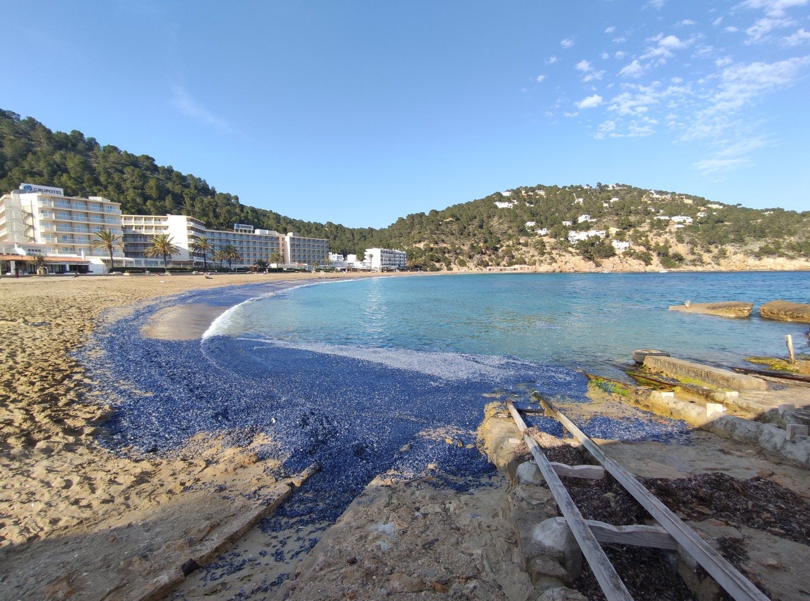 Aparecen cientos de miles de medusas en una playa de Ibiza