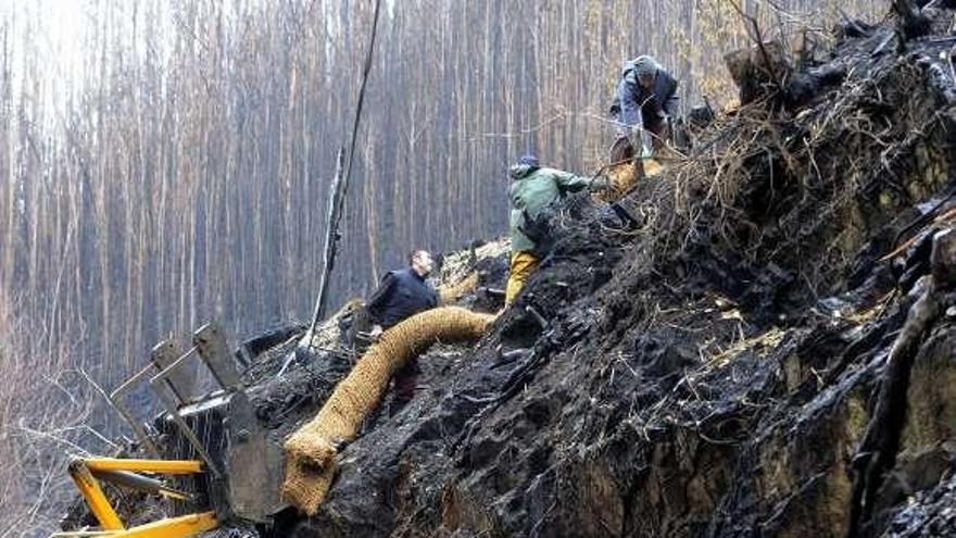 Labores para frenar la erosión las Fragas tras el incendio. / c. pardellas