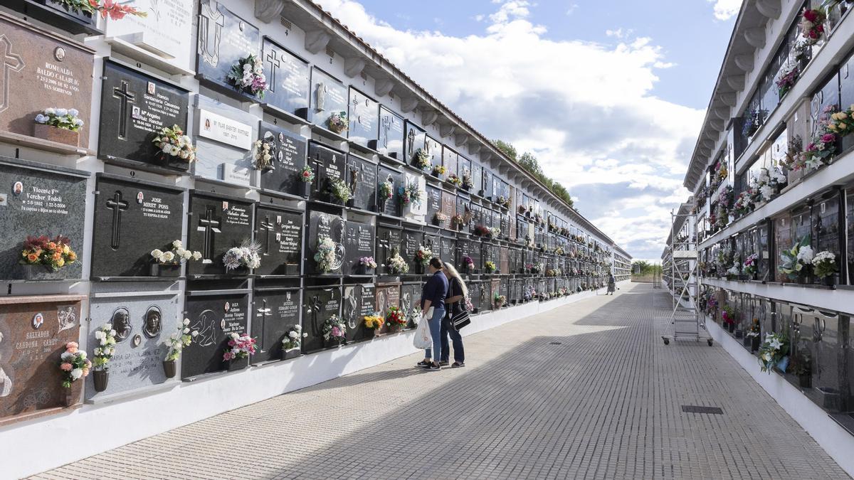 Una de las calles del cementerio municipal de Gandia