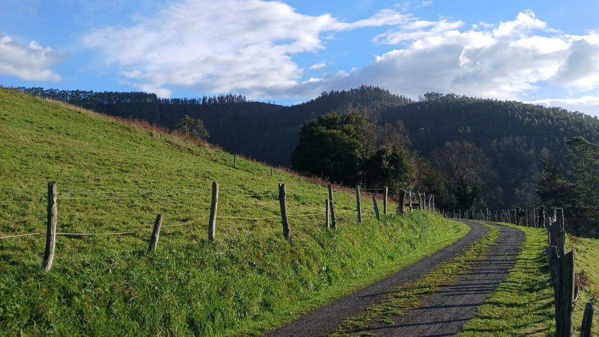Al fondo del camino, la donde se instalarán los eólicos.