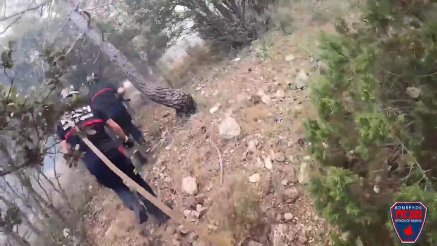 Un incendio forestal, desde la vista de un bombero