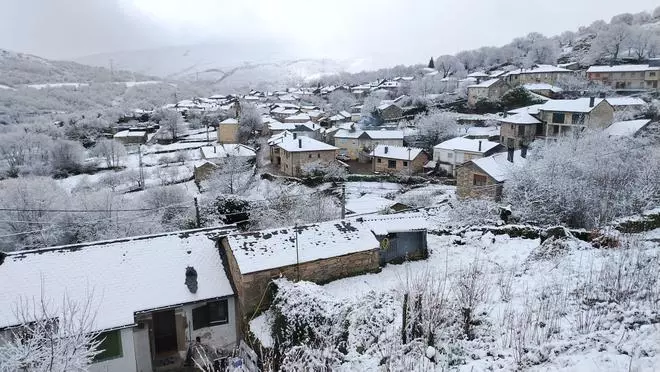 Primeras nevadas en Sanabria