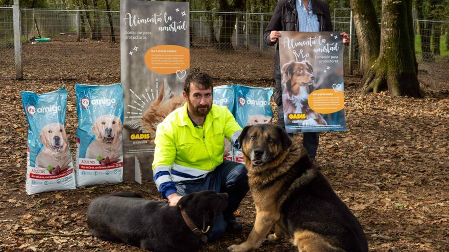 Los clientes de Gadis también cuidan de los animales de 69 protectoras de Galicia y Castilla y León