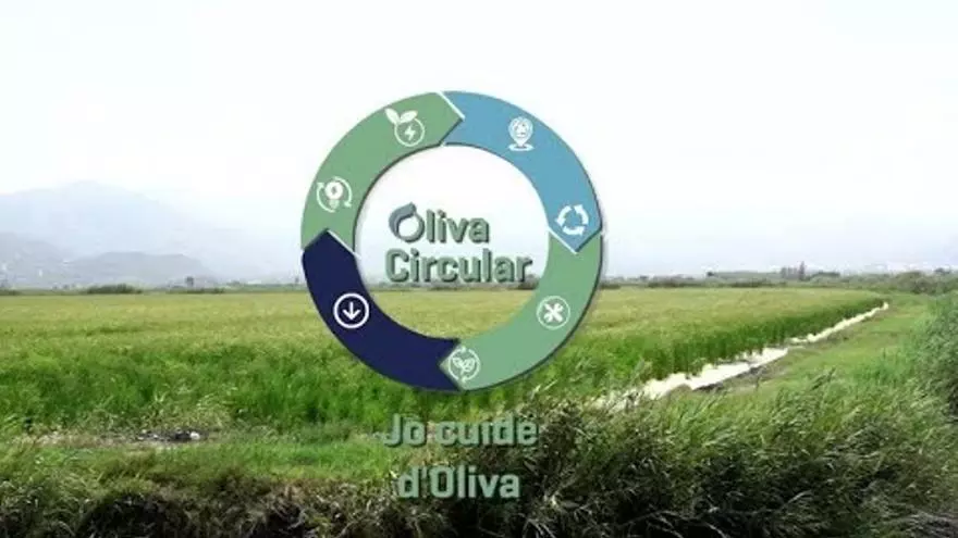 Oliva Circular: Jo Cuide d'Oliva