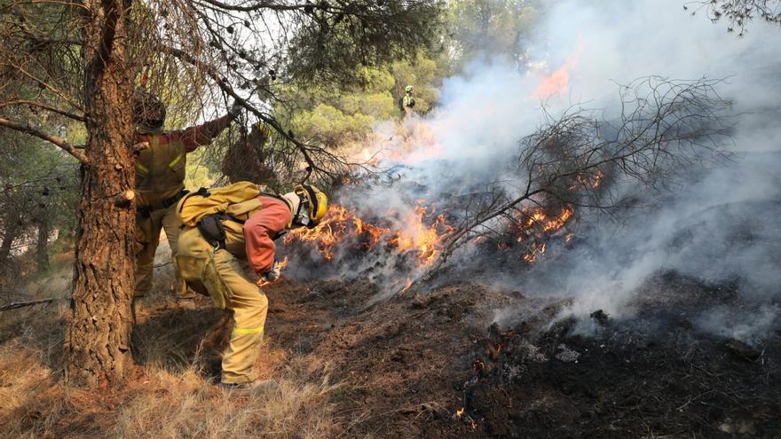 La lucha de los bomberos forestales por apagar un frente del incendio del Moncayo