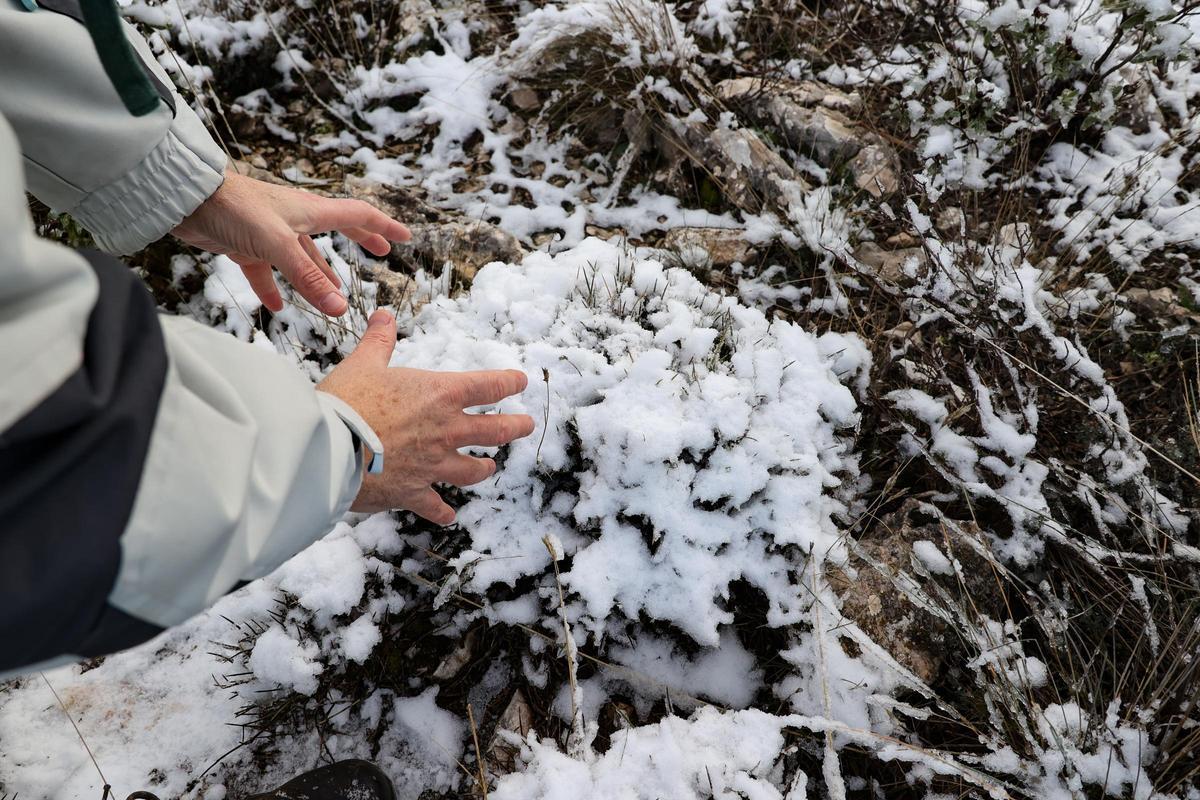 Ligera nevada en la Sierra de Aitana