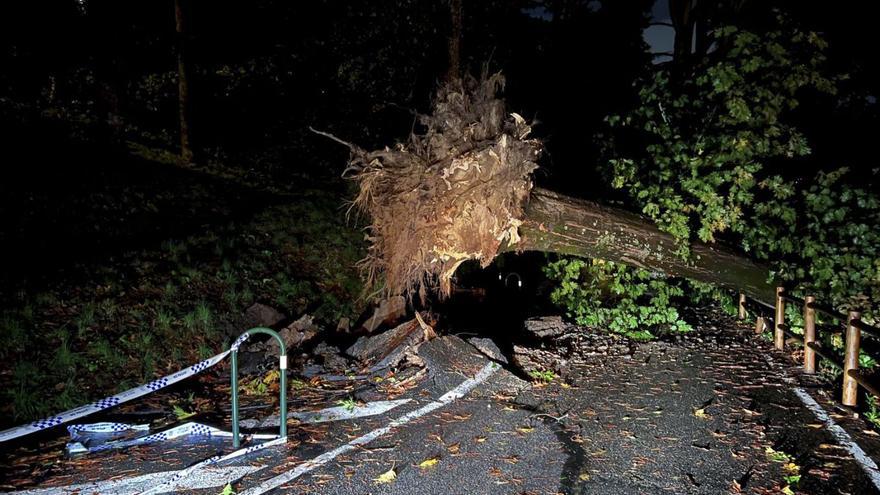 El viento de &quot;Béatrice&quot;, de hasta 128 km/h en Asturias, obliga a desviar dos vuelos