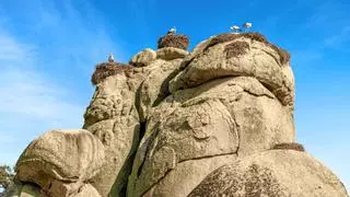 El pueblo de Cáceres considerado capital europea de las cigüeñas, está sobre un impresionante monumento natural