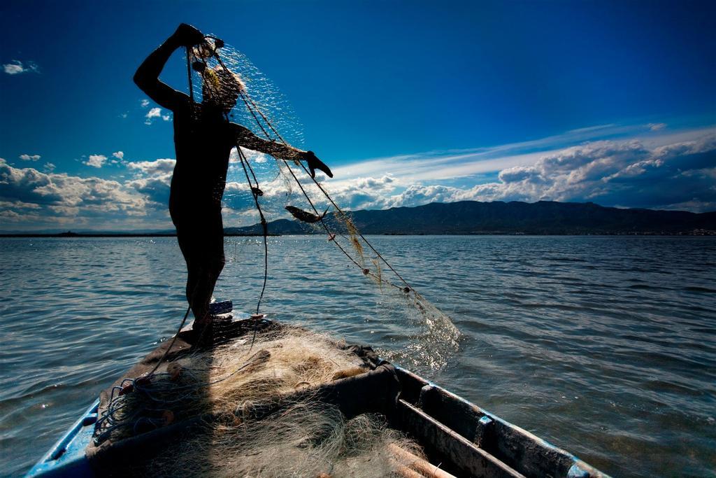 Pescador de Terres de l'Ebre