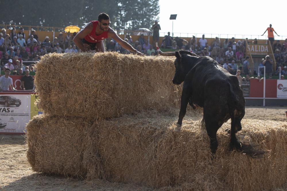 Vidreres celebra els correbous entre les protestes dels animalistes