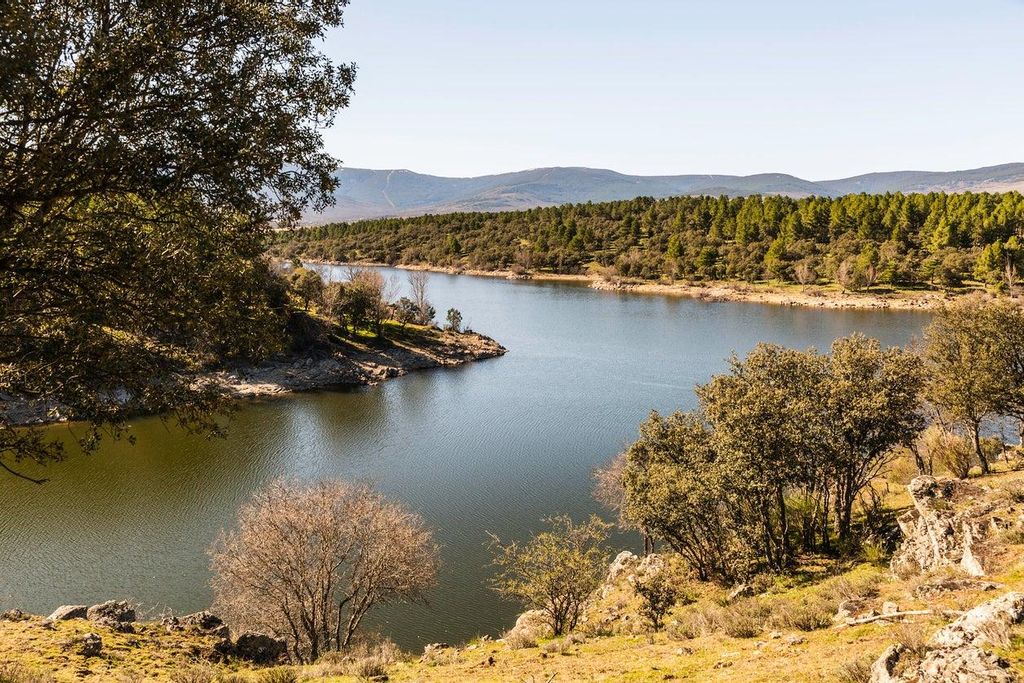 Rio Lozoya