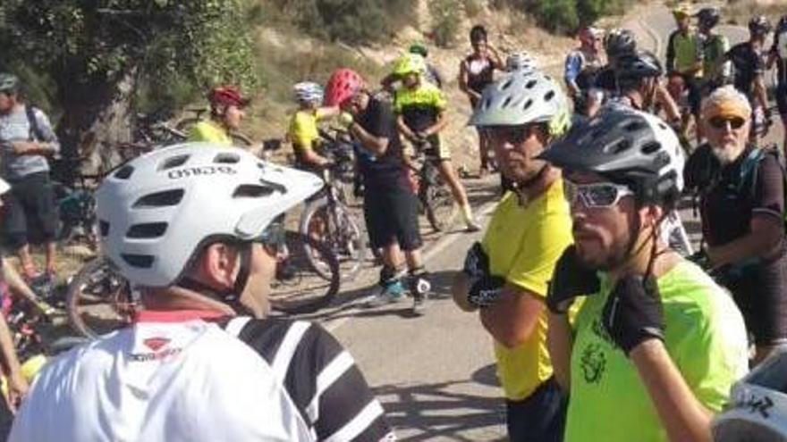 La reunión de ciclistas con ediles del Ayuntamiento de Elche.