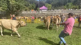 San Martín se prepara para celebrar la FEMEX