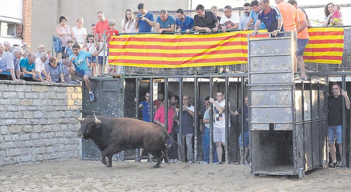 Los actos taurinos de Torre d’En Besora tendrán una doble jornada, el próximo fin de semana del 26 y 27 de agosto.