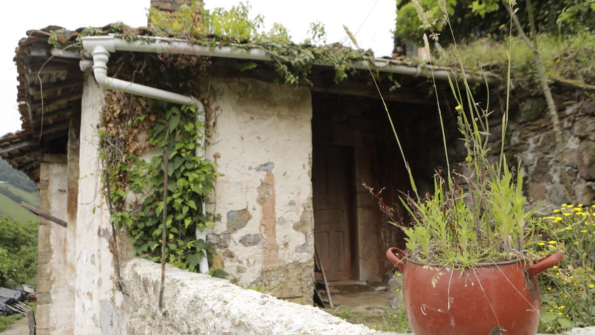 Bandujo, galería de fotos del pueblo más guapo de Asturias